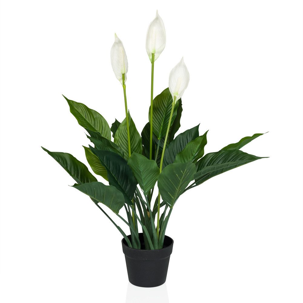 Kunstpflanze Kunstpflanze SPATHIPHYLLUM Kunststoff Einblatt, hjh günstig online kaufen