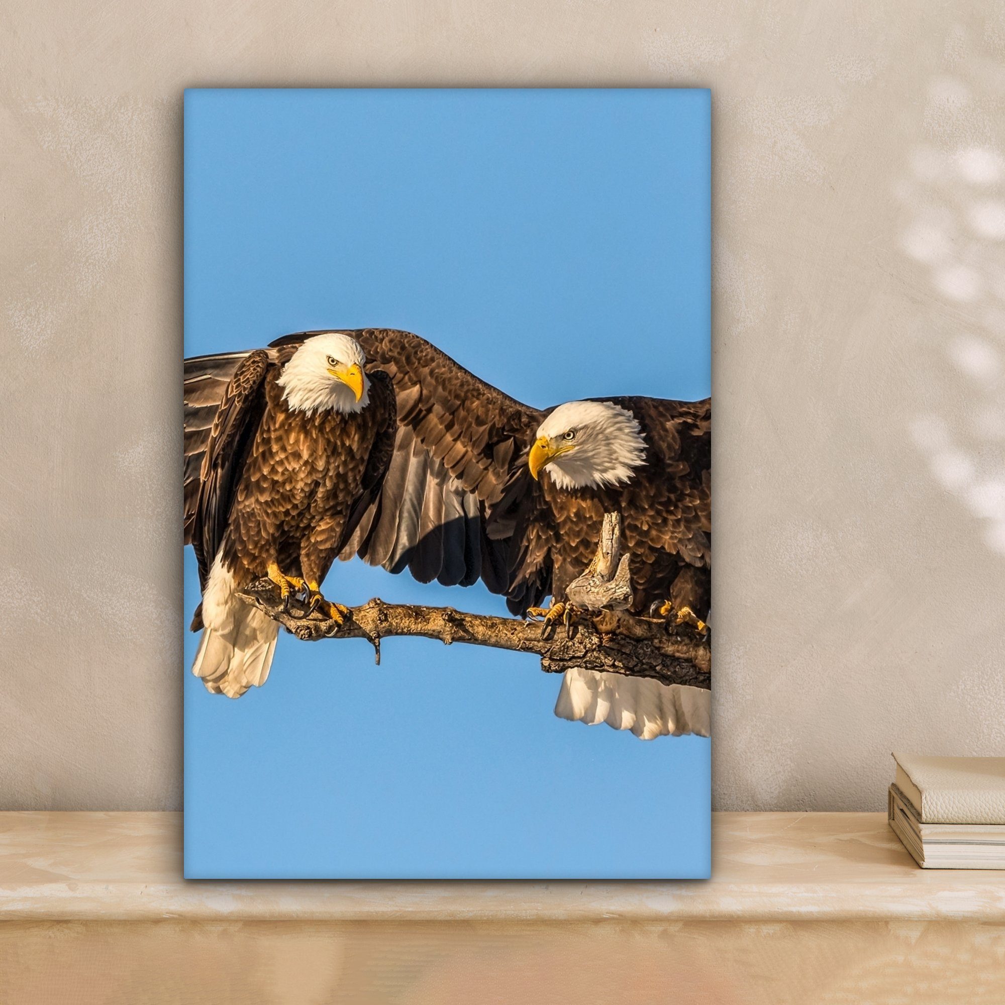 OneMillionCanvasses® Leinwandbild Vogel - Äste - günstig online kaufen