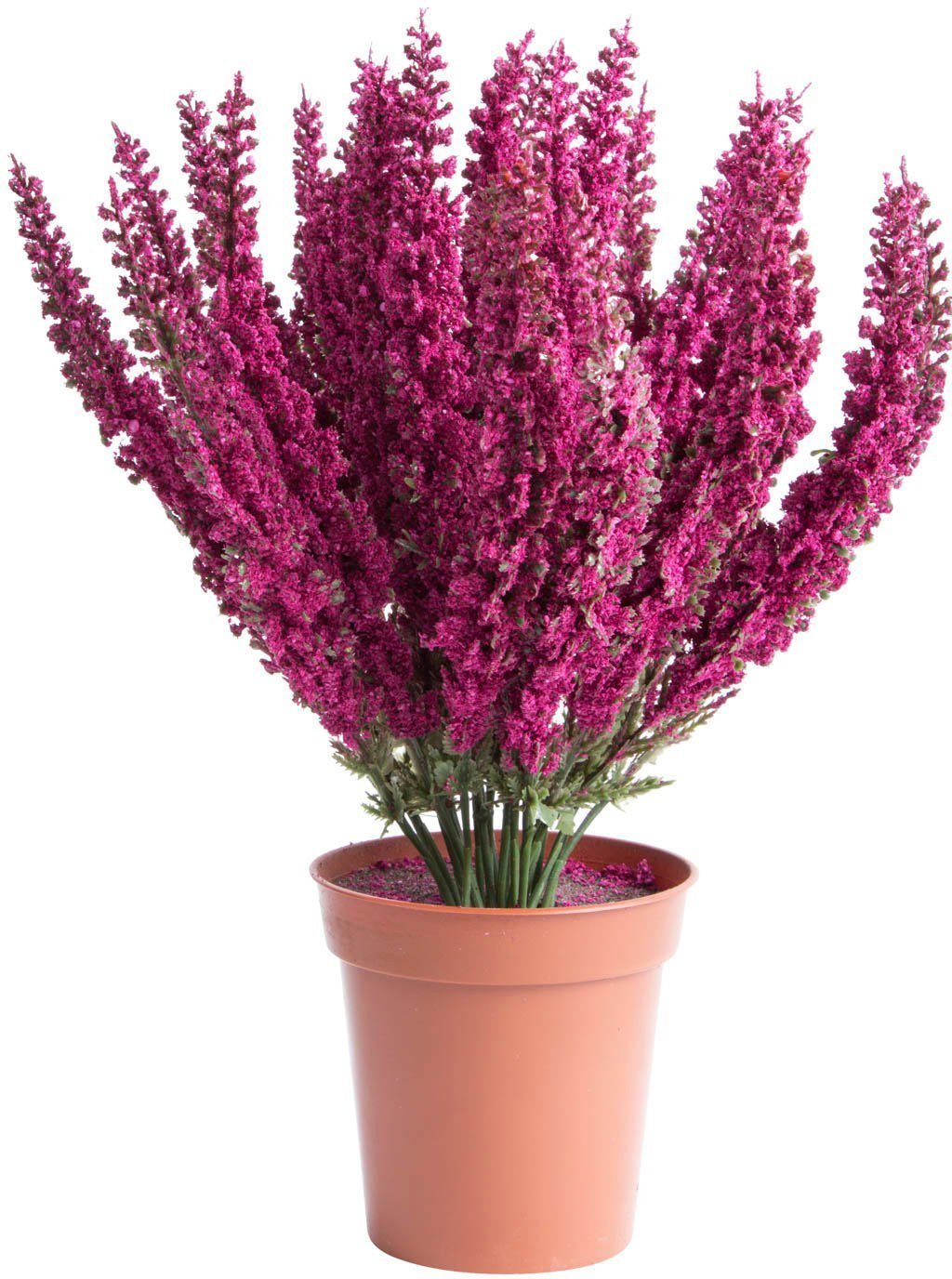 Kunstblume Erika in braunem Kunstofftopf, Botanic-Haus, Höhe 29 cm