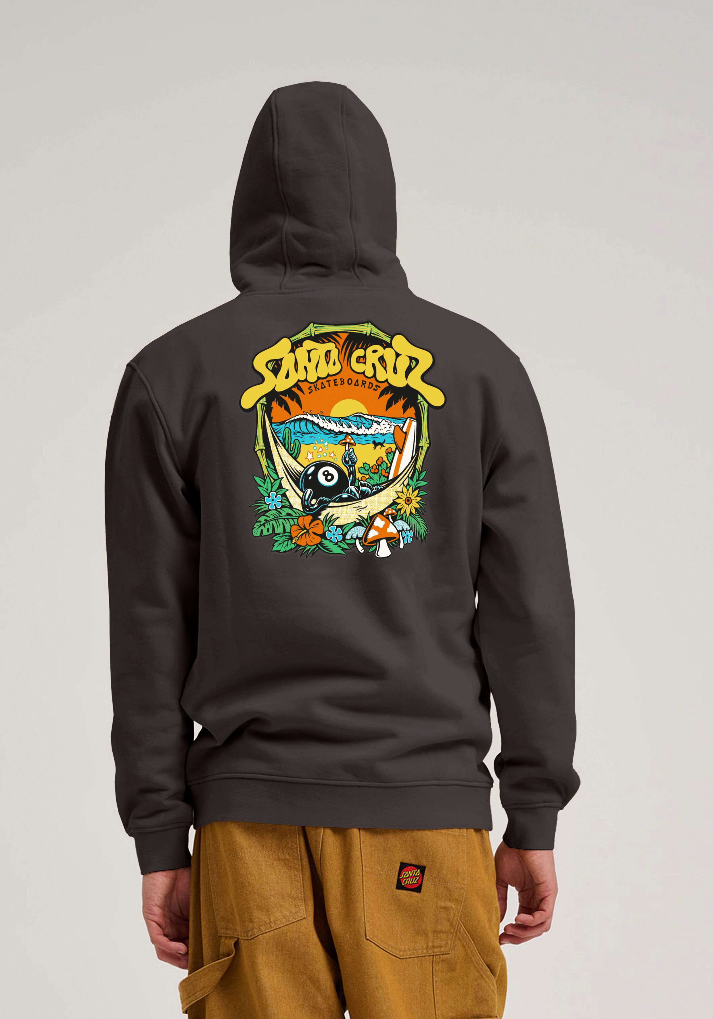 Santa Cruz Kapuzensweatshirt WINKOWSKI DOPE PLANET günstig online kaufen