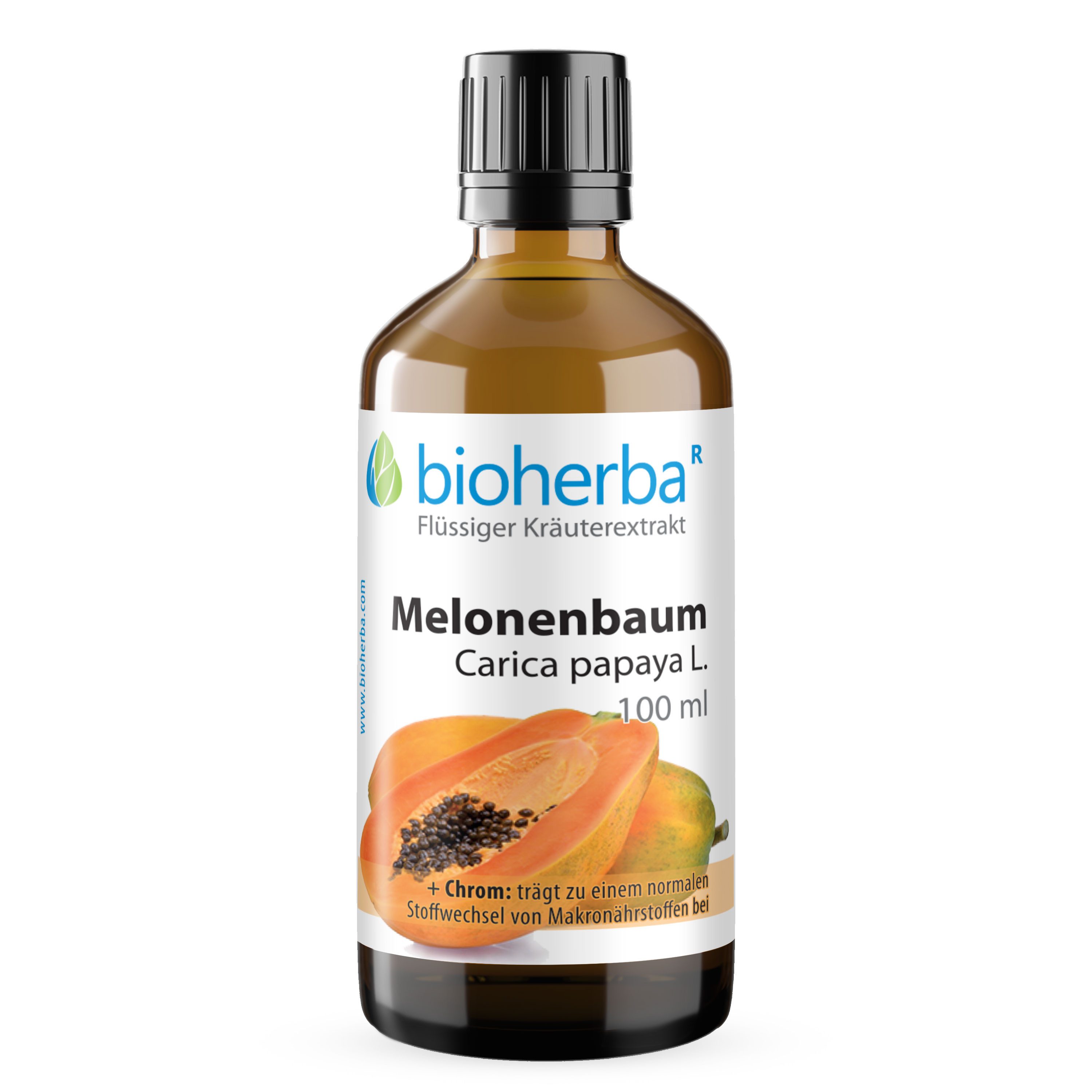 BIOHERBA R Bioherba Melonenbaum Carica papaya L. Tropfen Tinktur 100 ml Glasflasche, 1 er