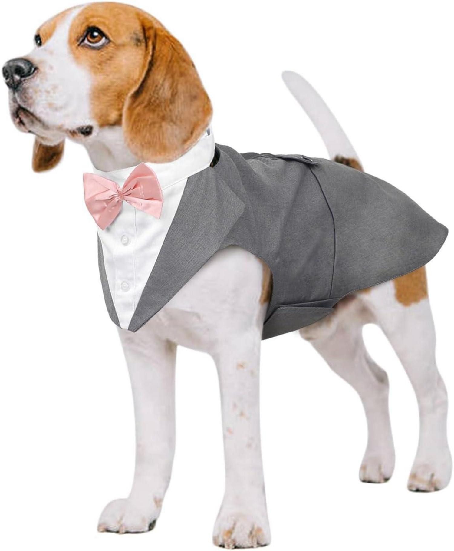 Hundefliege Hund Smoking Anzug Bandana Set Haustier Formale Kleidung S-XXL Grau