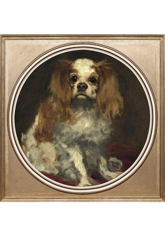  Kартина »Spaniel«