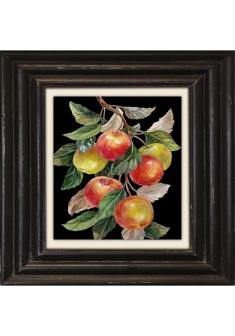  Картина »Äpfel«