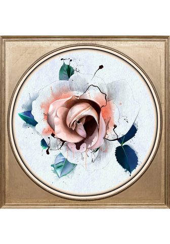  Kартина »Rose Pastell«