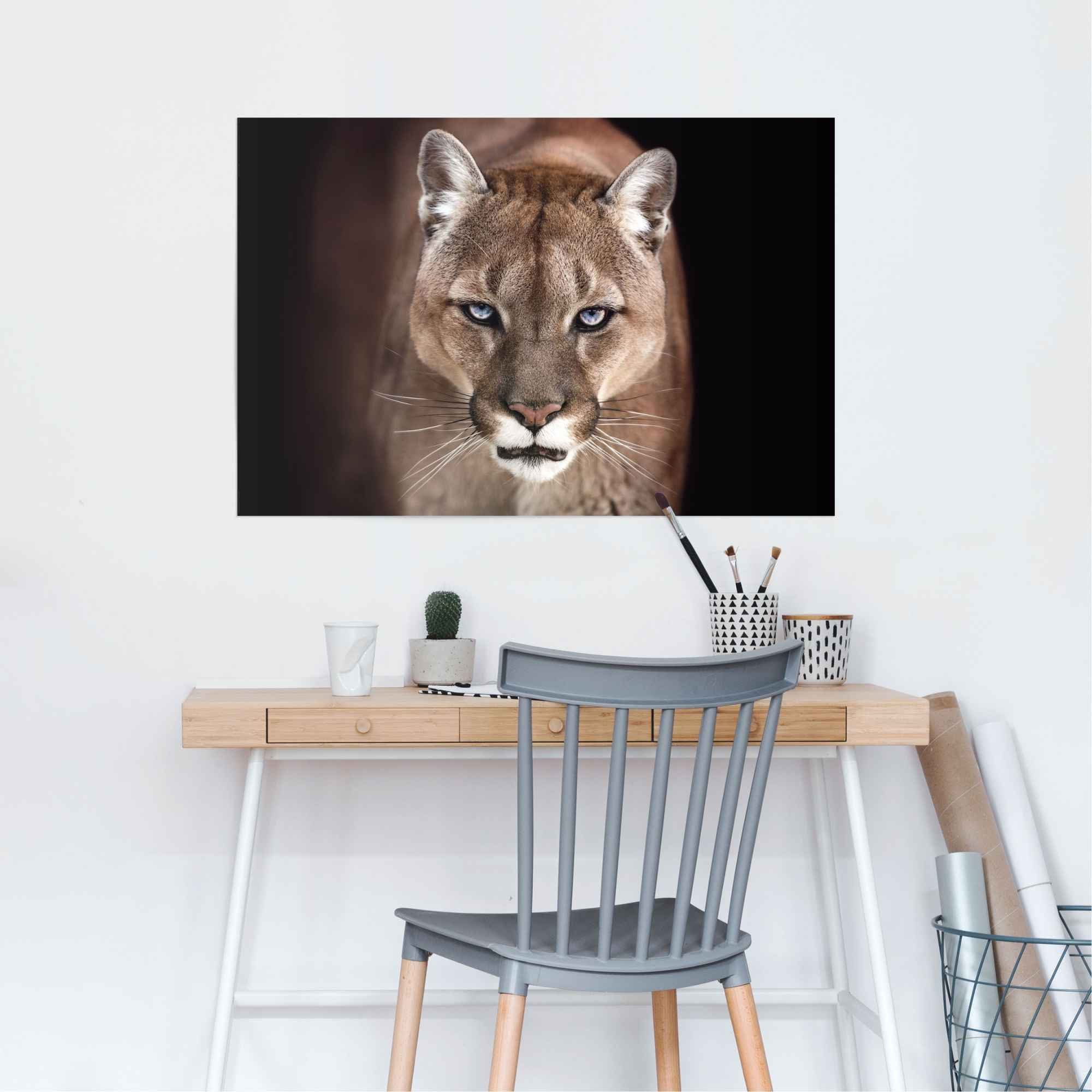 Reinders! Poster »Puma Nahaufnahme«, (1 Stück)-HomeTrends