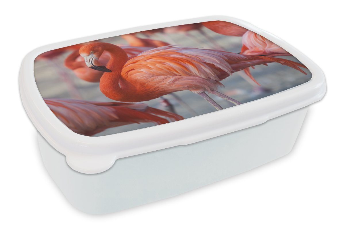 - Brotbox Brotdose, (2-tlg), Mädchen Lunchbox Flamingo Erwachsene, Rosa, weiß MuchoWow Kinder und - und für Vogel - für Kunststoff, Tiere Jungs