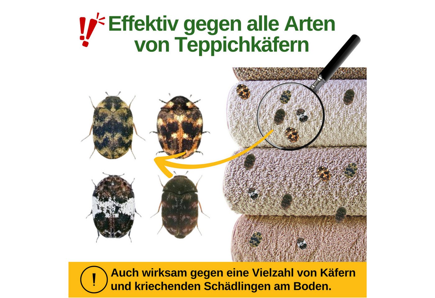 Thumbnail - GREEN GUARDIA Insektenfalle Teppichkäfer Falle mit Pheromon-Lockstoff - insektizidfrei, Umweltfreundliche & Effektive Sc...
