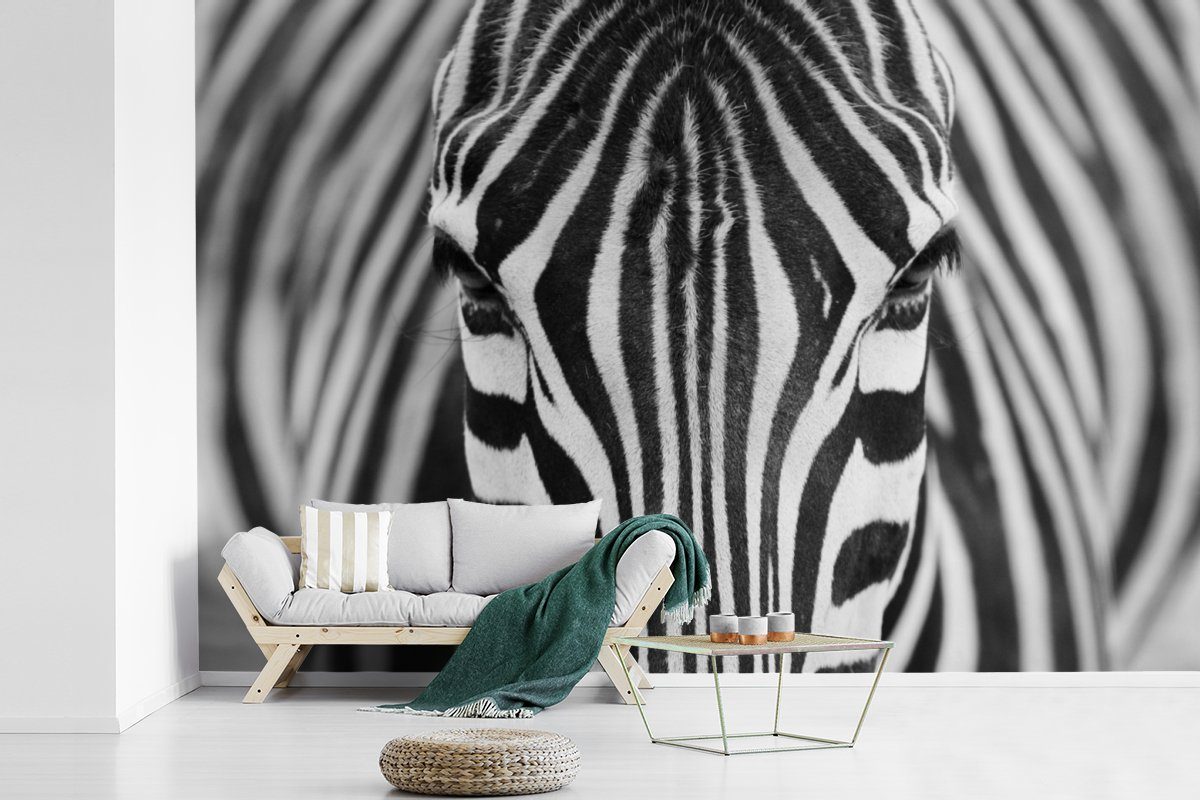 bedruckt, Zebra (6 Kinderzimmer, Vinyl Porträt, und Tiere - weiß Schwarz Matt, Tapete Schlafzimmer, - Fototapete Wallpaper St), Wohnzimmer, MuchoWow - für