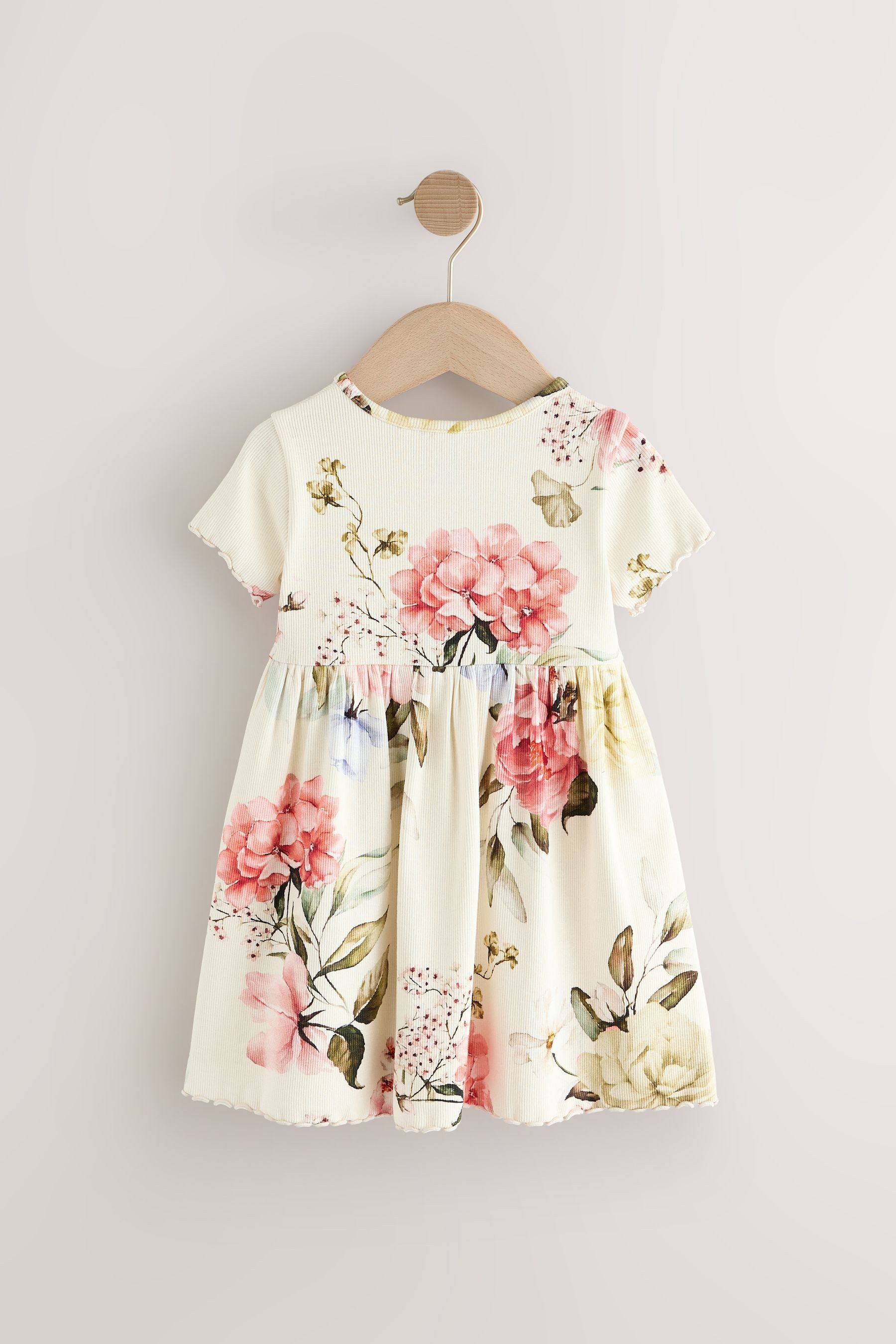 Next Sommerkleid Kurzärmeliges geripptes Kleid (1-tlg)