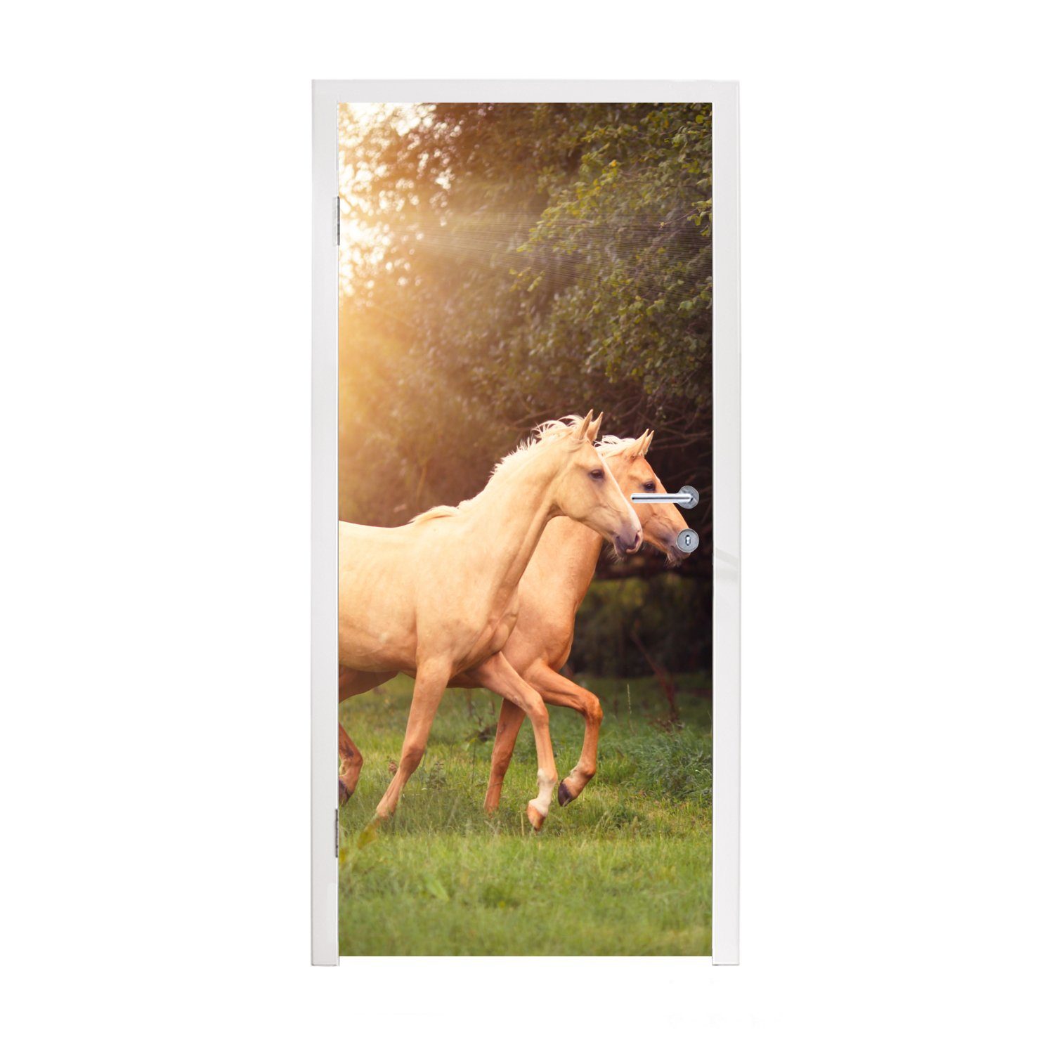 MuchoWow Türtapete Pferde - Wald - Sonne, Matt, bedruckt, (1 St), Fototapete für Tür, Türaufkleber, 75x205 cm