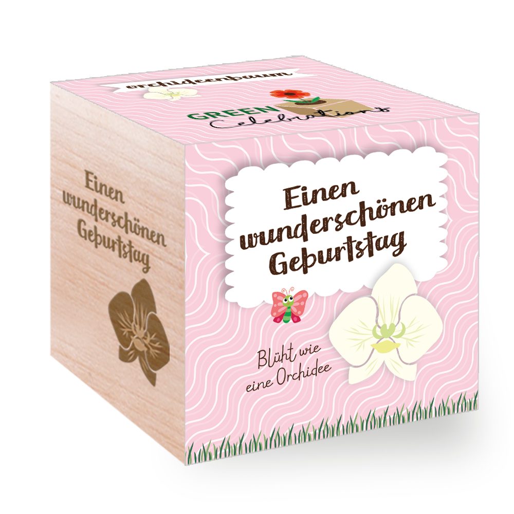 Feel Green Blumenerde Green Celebrations, Orchideenbaum«Einen Wunderschönen Geburtstag», (1-St)