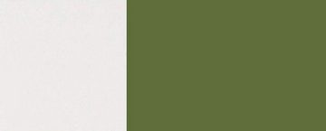 Feldmann-Wohnen Faltlifthängeschrank Florence (Florence, 1-St) 60cm Front- & Korpusfarbe wählbar grifflos 2-teilige Hochfaltklapptür