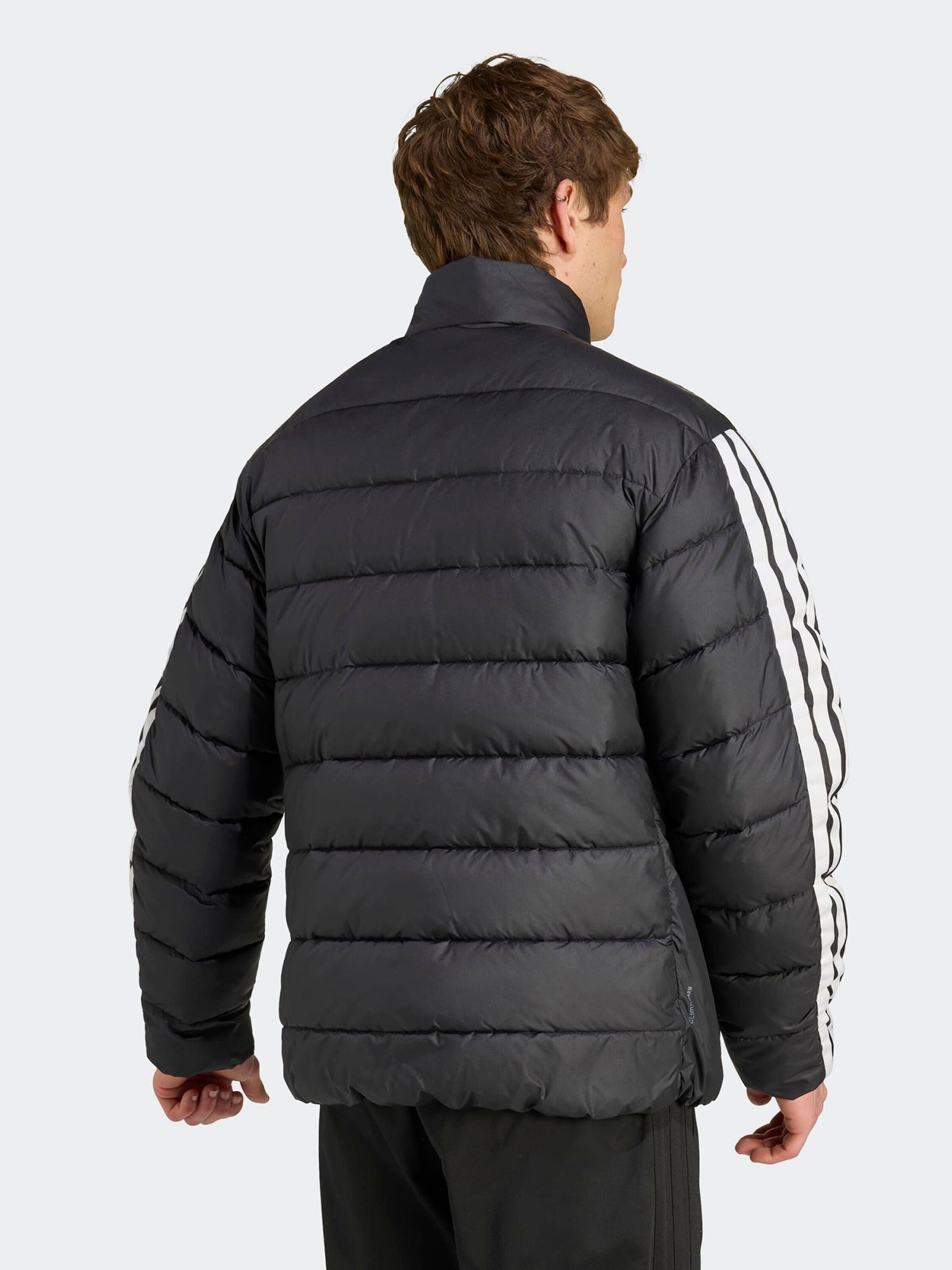 adidas Sportswear Trainingsjacke ESS 3S SD (1-St)