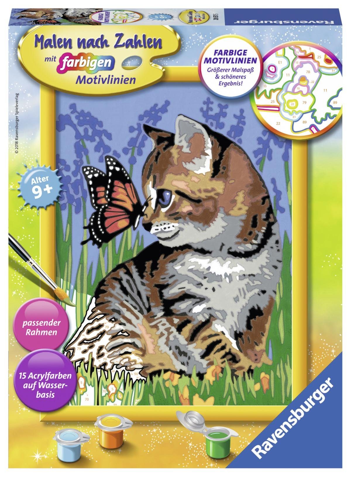 Malen nach Zahlen Katze mit Schmetterling Tiermotiv Größe 22 cm x 29 cm 
