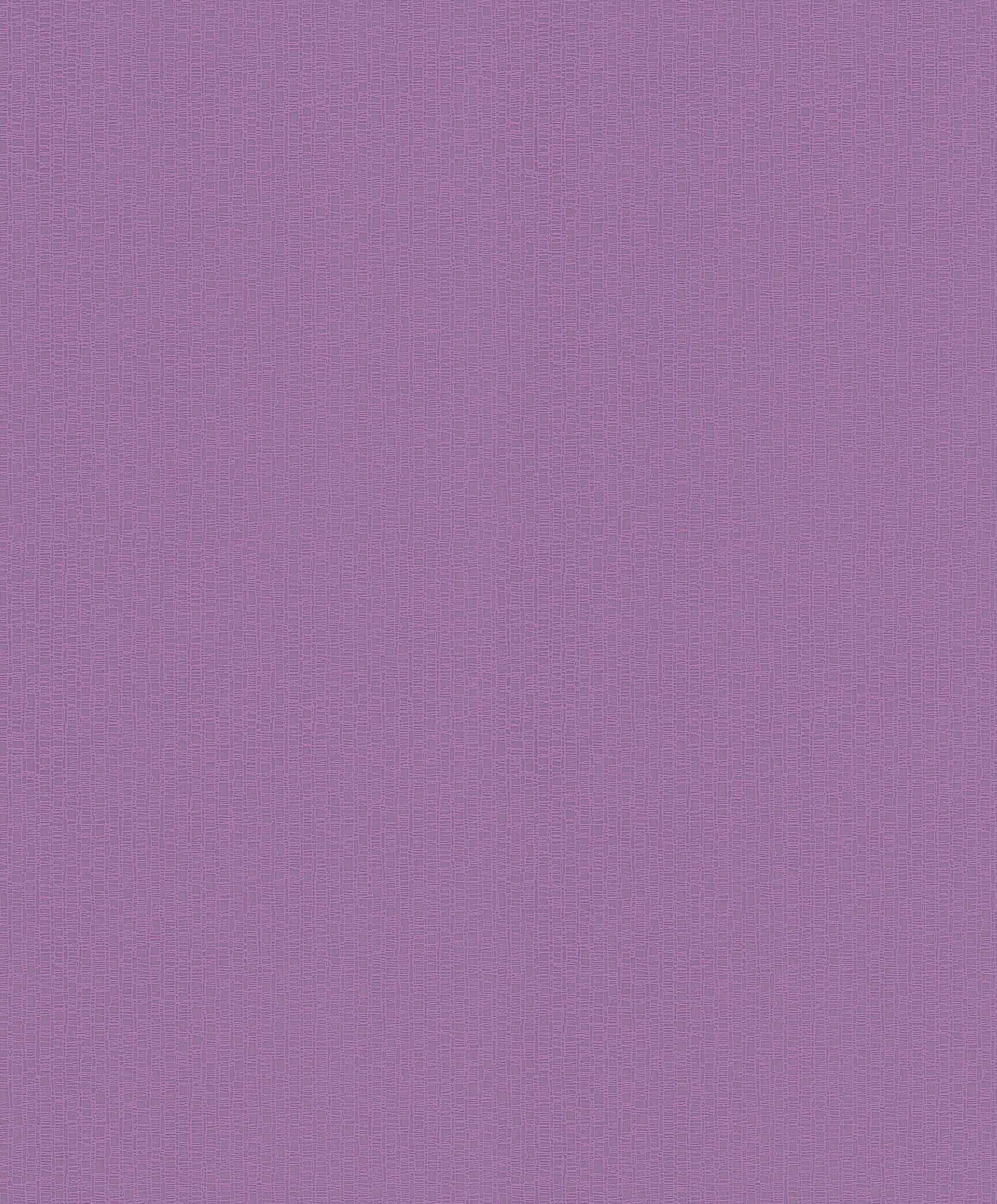 Newroom Vliestapete, Lila Einfarbig Uni Unifarbe günstig online kaufen