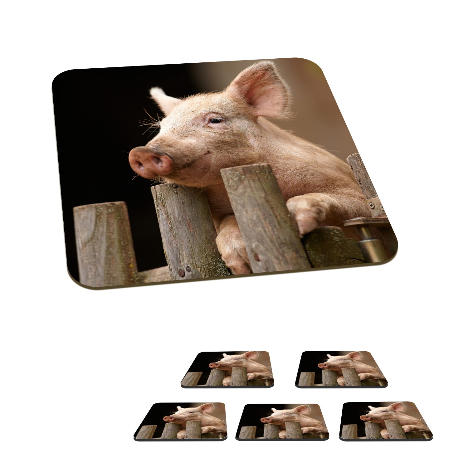 MuchoWow Glasuntersetzer Schwein - Tier - Zaun, Zubehör für Gläser, 6-tlg., Glasuntersetzer, Tischuntersetzer, Korkuntersetzer, Untersetzer, Tasse