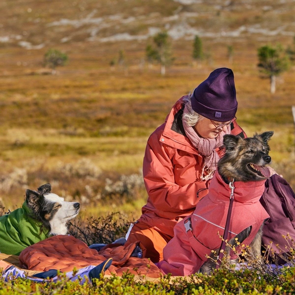 HURTTA Hundemantel Hundemantel Expedition Parka II parsley (grün)