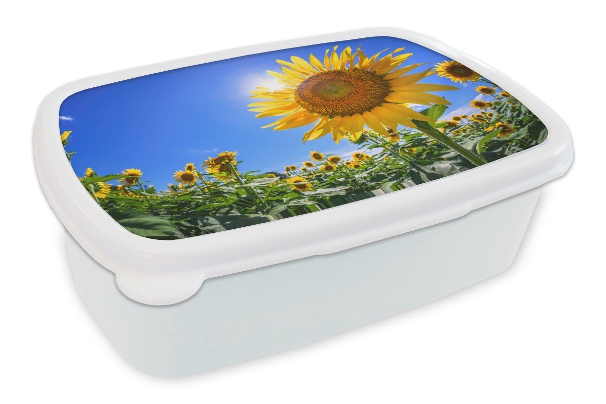 MuchoWow Erwachsene, und und Brotbox Mädchen gesehen, für Kunststoff, Brotdose, für weiß Sonnenblumenfeld Kinder Lunchbox unten von Jungs (2-tlg),