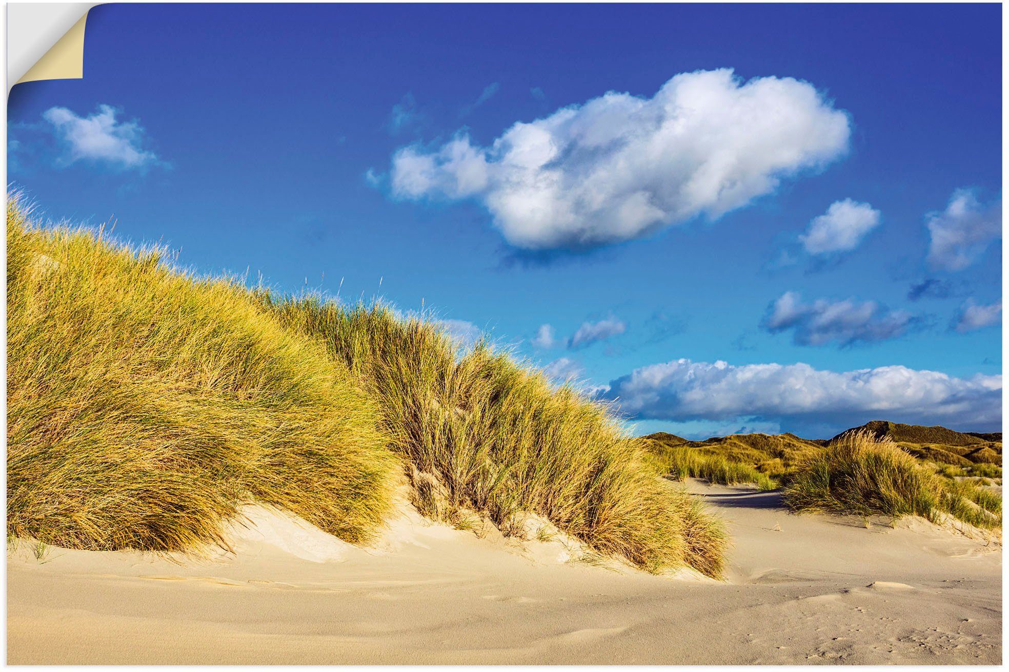 Artland Wandbild Landschaft mit Dünen in Insel oder Strandbilder St), Leinwandbild, Amrum, Größen (1 Alubild, als Wandaufkleber versch. Poster