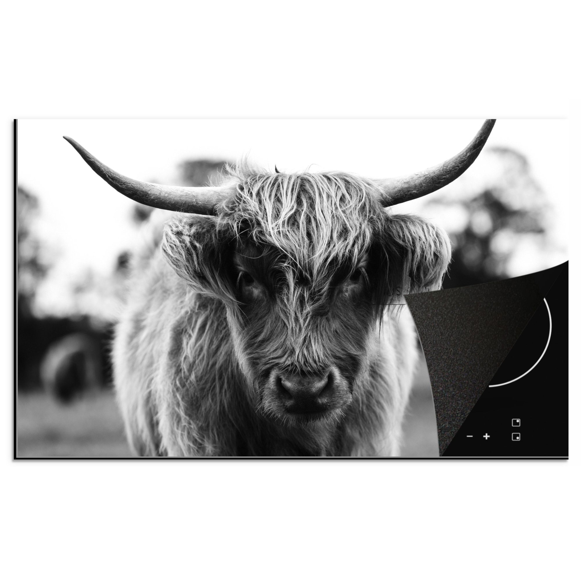 MuchoWow Herdblende-/Abdeckplatte Schottischer Highlander - Kuh - Gras - Tiere - Natur, Vinyl, (1 tlg), 83x51 cm, Ceranfeldabdeckung, Arbeitsplatte für küche