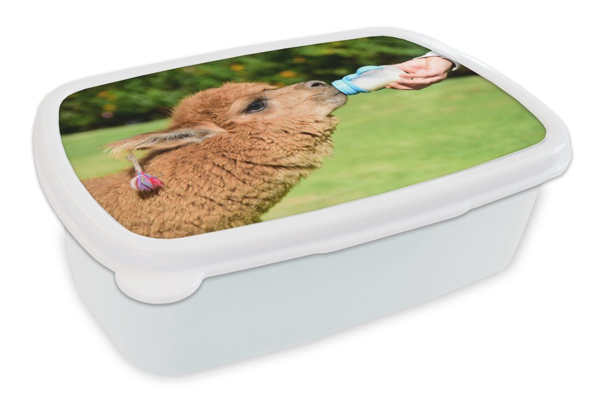 MuchoWow Lunchbox Alpaka - Flasche - Milch, Kunststoff, (2-tlg), Brotbox für Kinder und Erwachsene, Brotdose, für Jungs und Mädchen weiß