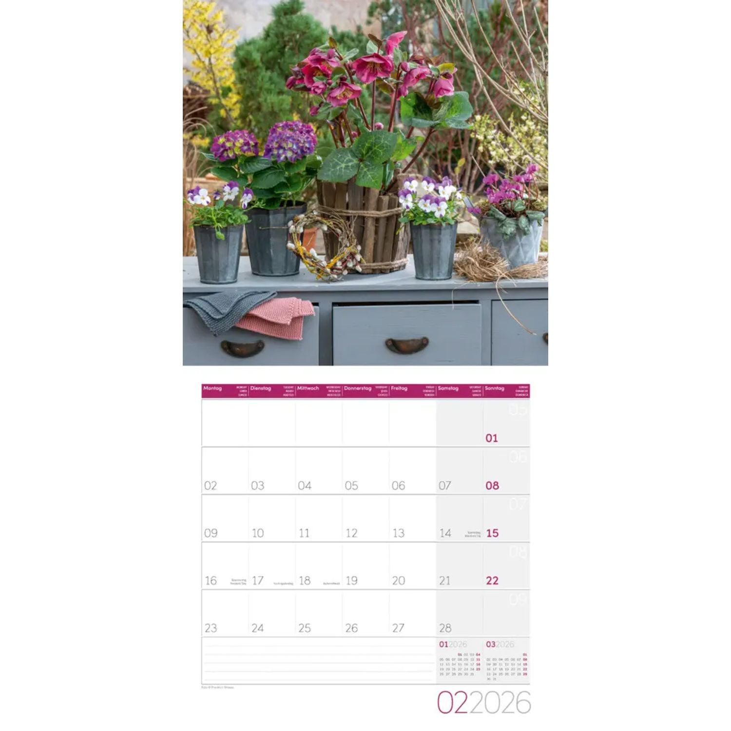 Ackermann Wandkalender Blumenzauber Broschürenkalender 2026 - 30x30 - Art12
