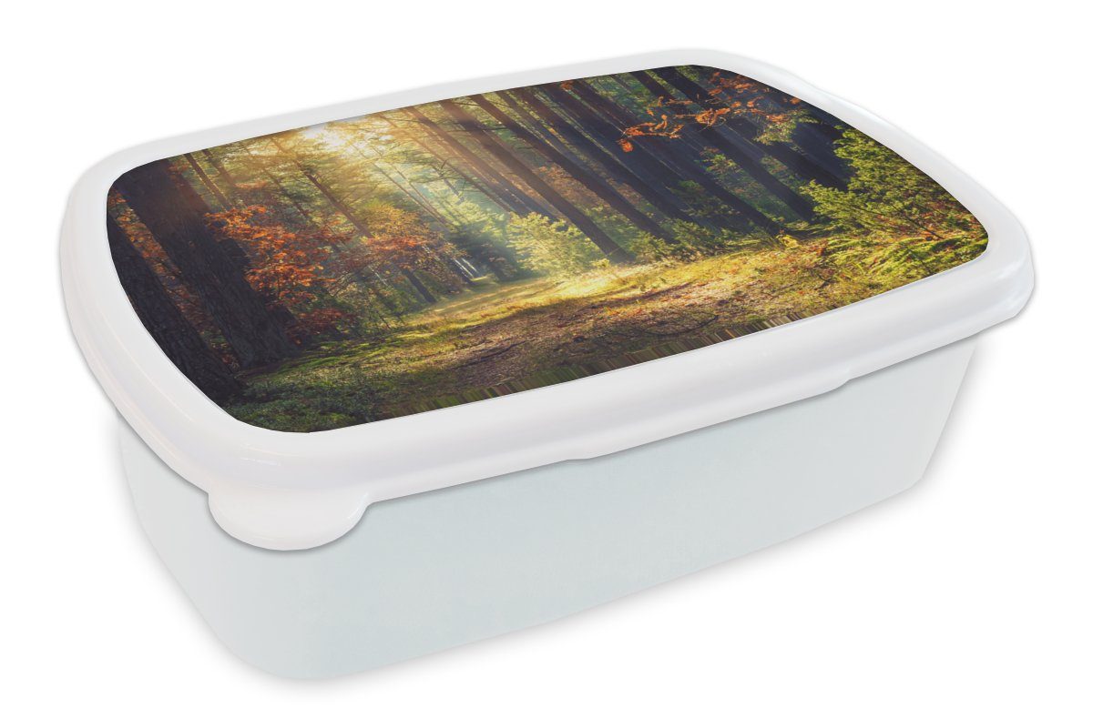 - Jungs Erwachsene, (2-tlg), Herbst Lunchbox Mädchen für für Bäume, und Wald und Brotbox Brotdose, MuchoWow Kunststoff, weiß - Kinder