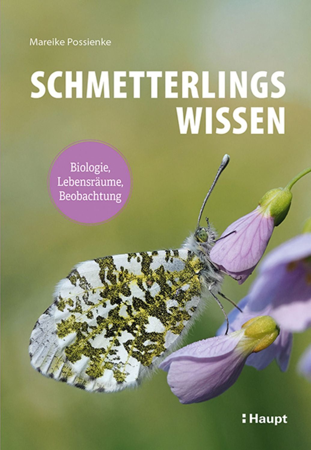 Schmetterlingswissen / Mareike Possienke