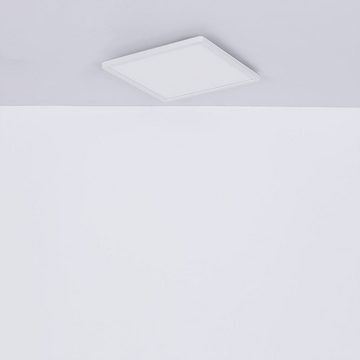 Globo LED Deckenleuchte, LED-Leuchtmittel fest verbaut, Warmweiß, Deckenlampe LED Panel Deckenleuchte Wohnzimmerlampe modern weiß