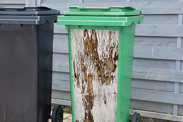 MuchoWow Wandsticker Baumrinde - Baum - Struktur (1 St), Mülleimer-aufkleber, Mülltonne, Sticker, Container, Abfalbehälter