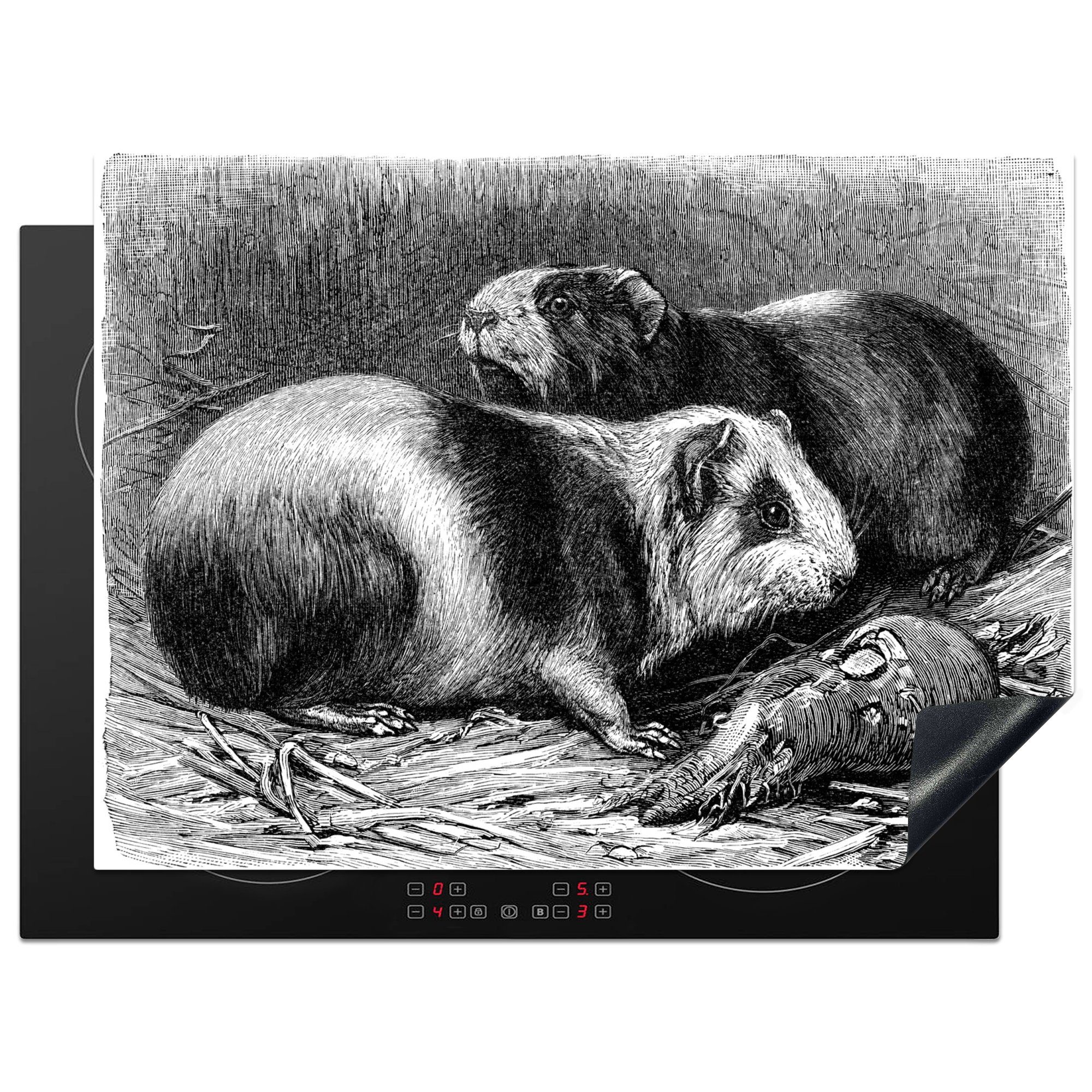 MuchoWow Herdblende-/Abdeckplatte Eine Schwarz-Weiß-Illustration von zwei Meerschweinchen, Vinyl, (1 tlg), 70x52 cm, Mobile Arbeitsfläche nutzbar, Ceranfeldabdeckung