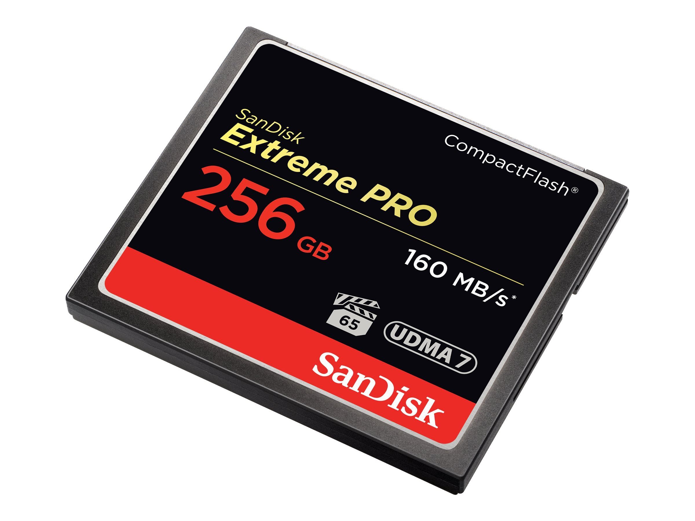 Sandisk SANDISK COMPACT FLASH CARD 256GB Micro SD-Karte
