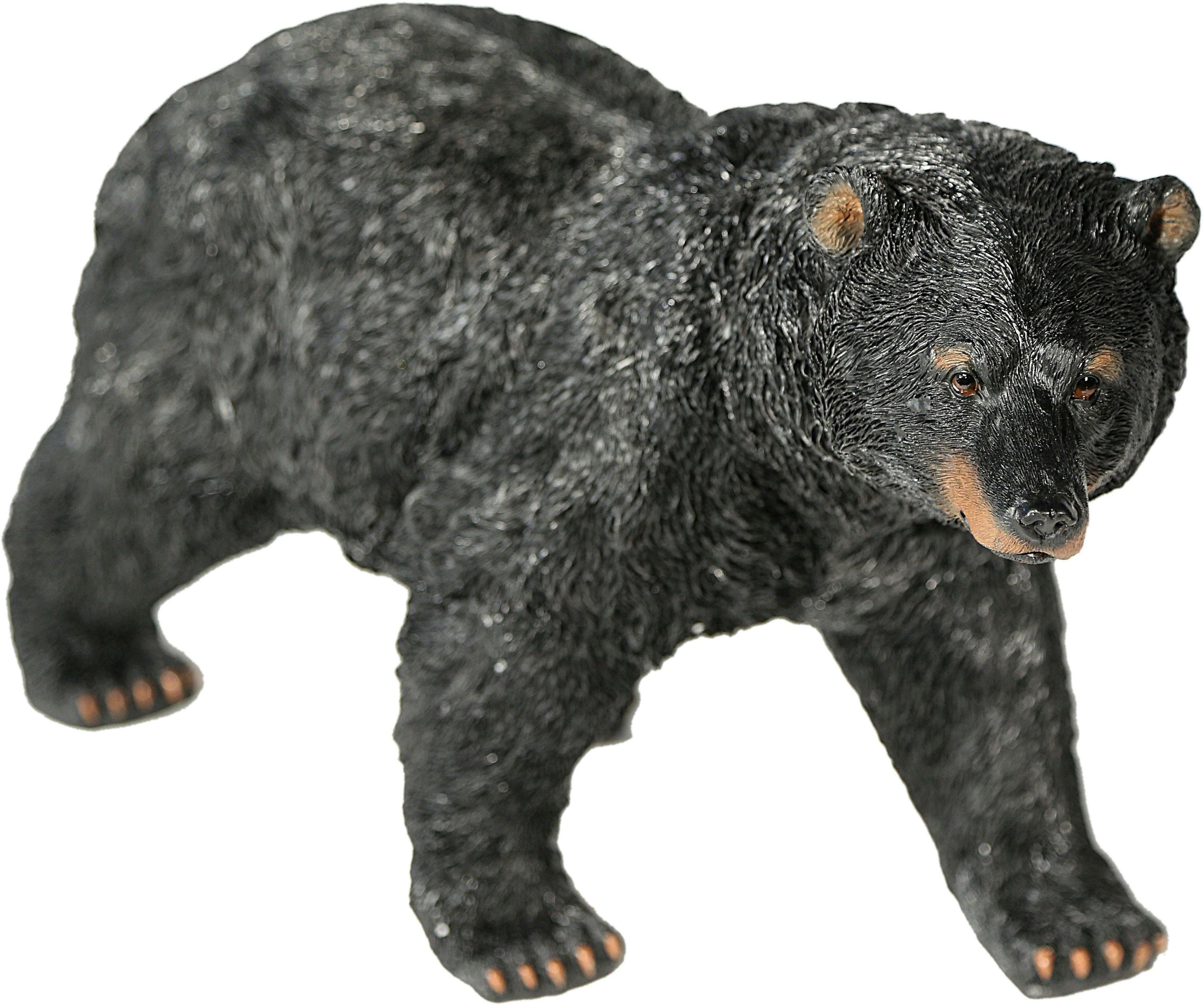 Casa Collection by Jänig Tierfigur »Schwarzbär«-Otto