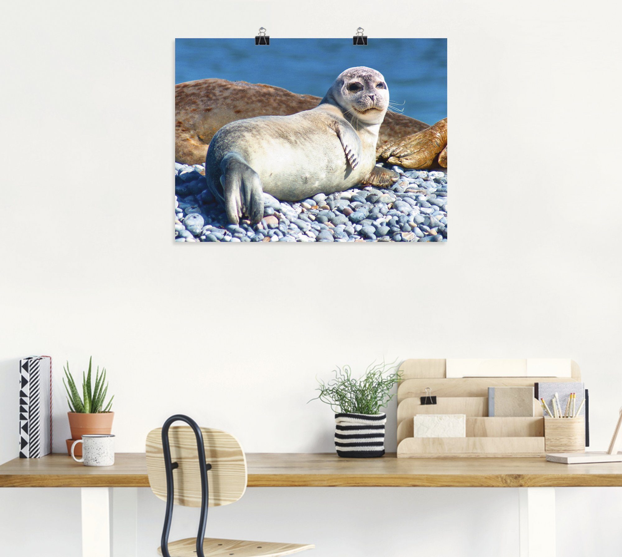 Wandbild St), von als oder Alubild, Leinwandbild, Poster am Junger Helgoland, Größen Strand in Seehund Wassertiere (1 Artland versch. Wandaufkleber