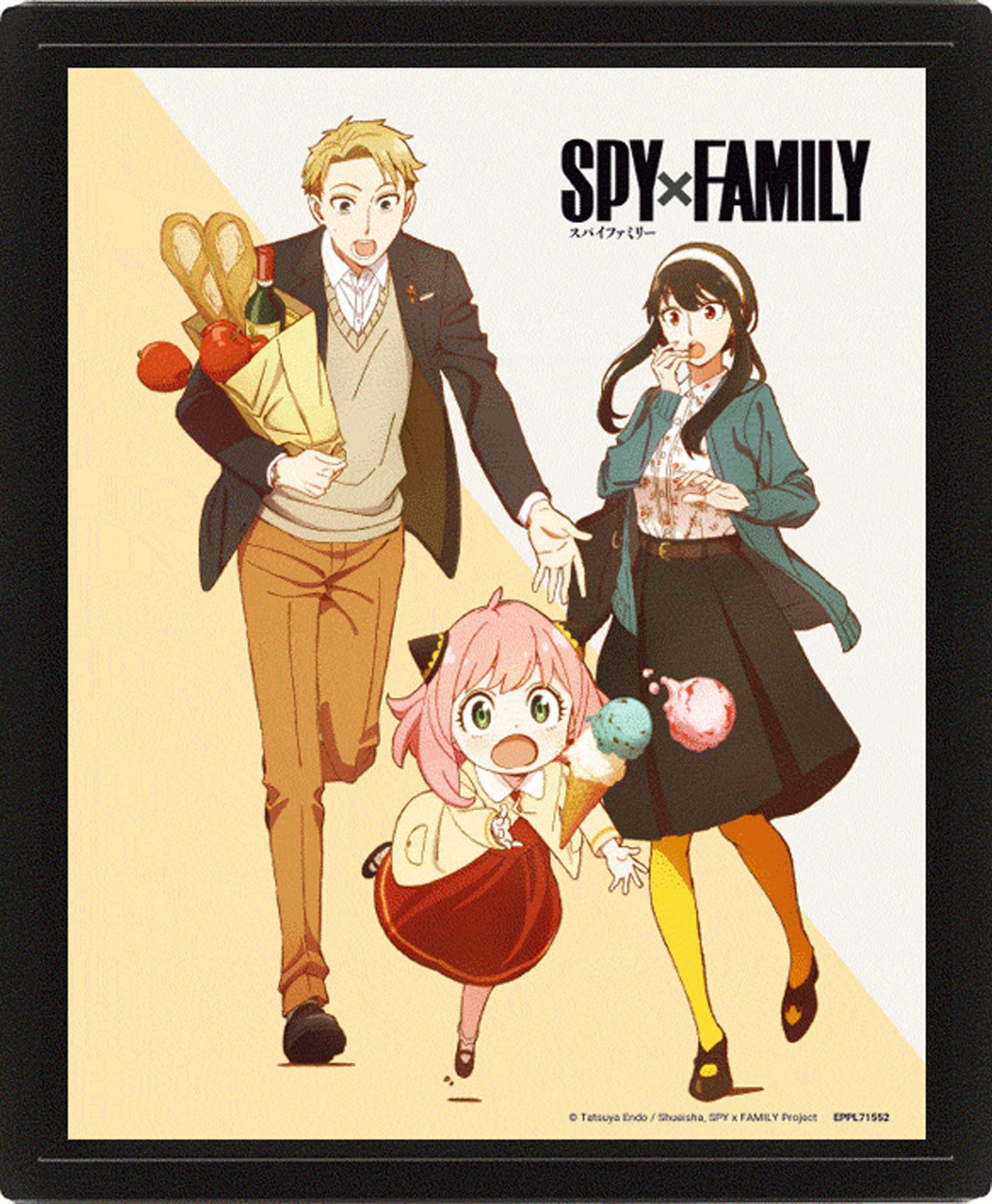 Poster Spy X Family - 3D Плакат A4 - Cool vs. Family