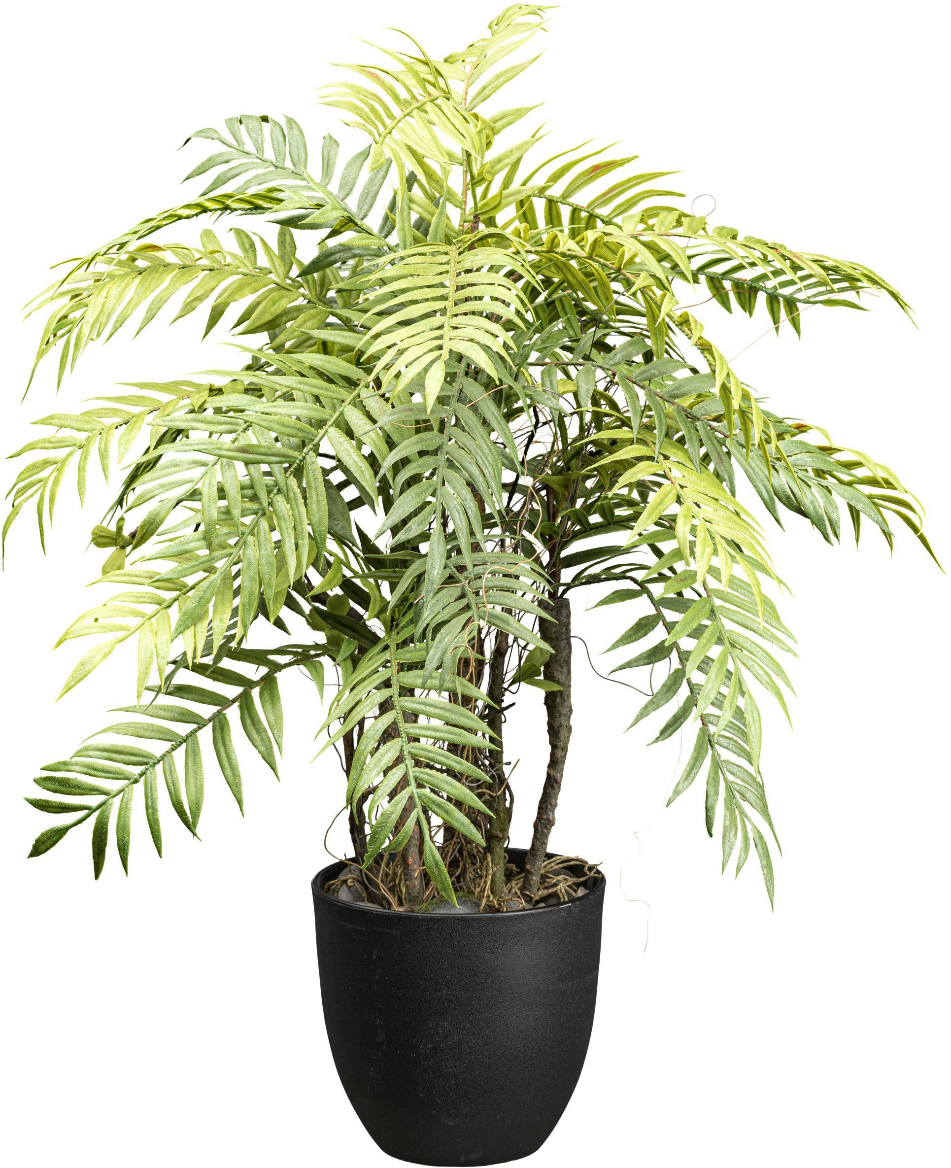 Kunstpflanze Farnpflanze Baumfarn, Creativ green, Höhe 60 cm, mit Deko-Kies günstig online kaufen