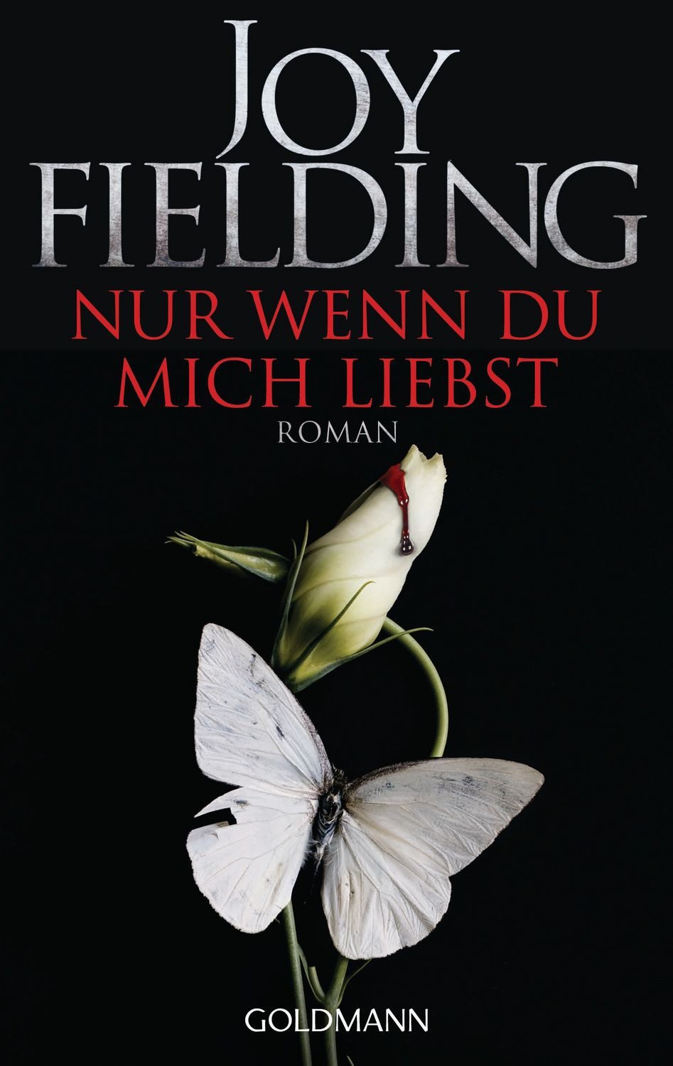 Belletristik Nur wenn du mich liebst Roman Joy Fielding