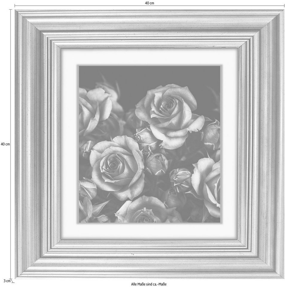 queence Acrylglasbild »Rosen Blüten«-HomeTrends
