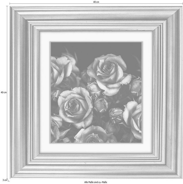 queence Acrylglasbild »Rosen Blüten«-Otto