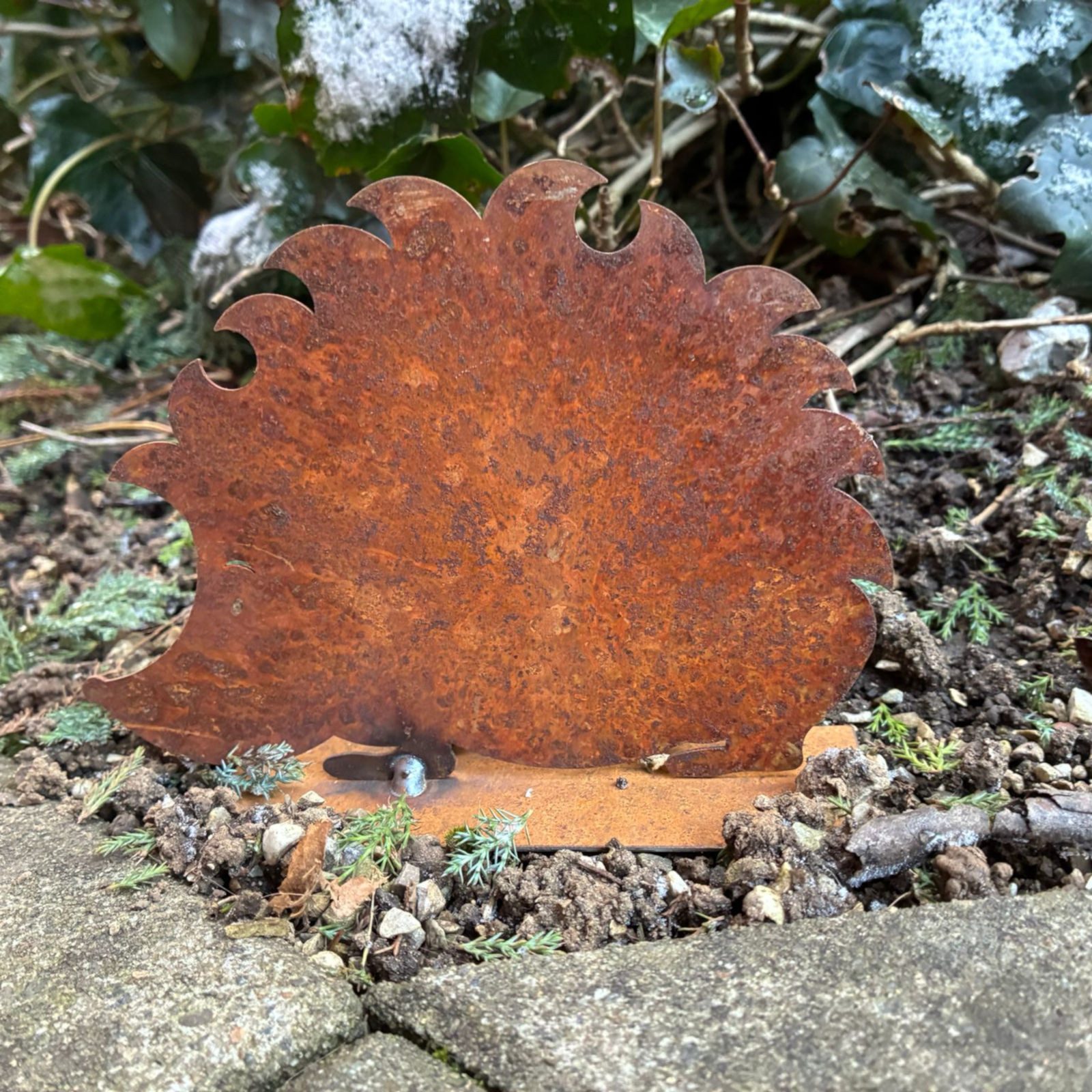 ZGM Dekofigur Rost Deko Igel Franzl, naturgetreue Gartendekoration – Bild 5 von 5