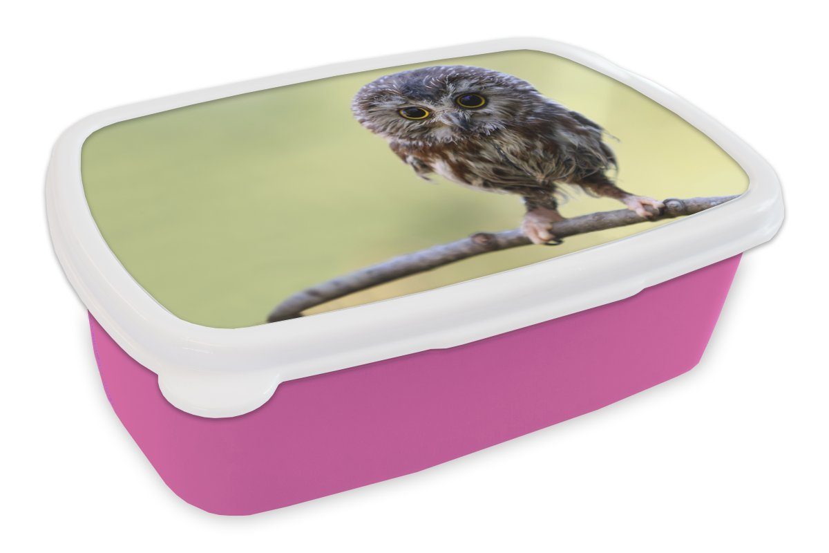 MuchoWow Lunchbox Eule - Vogel - Wald, Kunststoff, (2-tlg), Brotbox für Erwachsene, Brotdose Kinder, Snackbox, Mädchen, Kunststoff rosa | Lunchboxen
