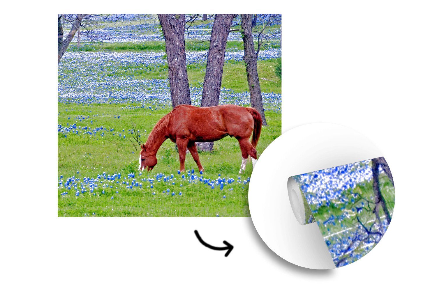 MuchoWow Fototapete Pferd - Blumen Wandtapete für bedruckt, Baum, Vinyl Wohnzimmer - oder Matt, St), Schlafzimmer, Tapete (5