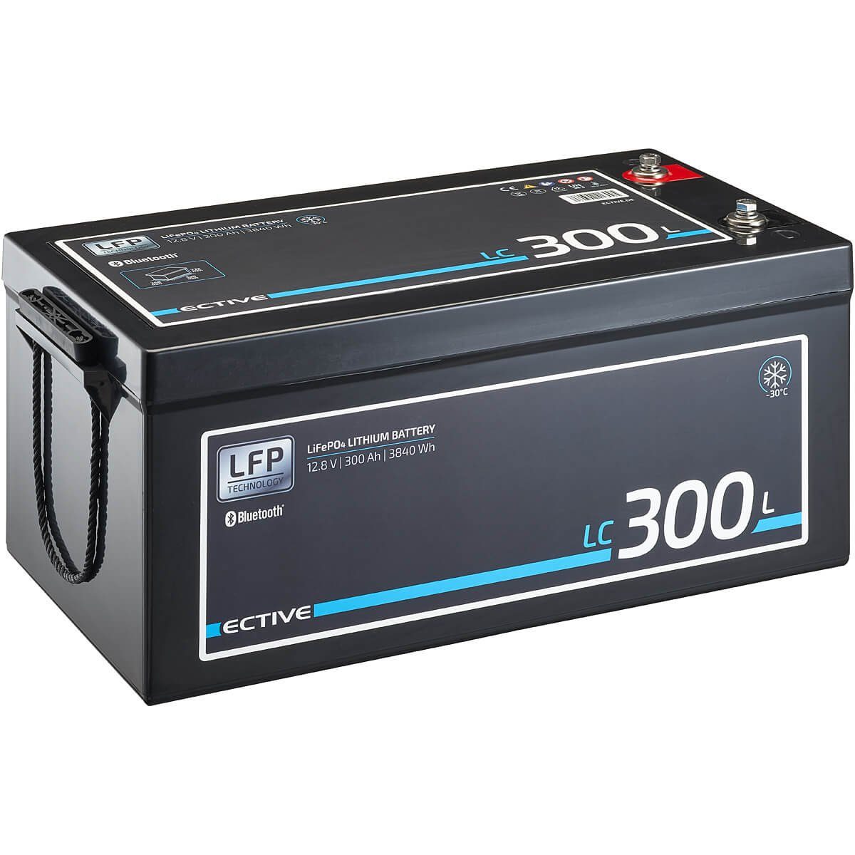 ECTIVE ECTIVE 12V 300Ah LiFePo4 Solar Batterie Lithium BMS Wohnmobil Camper Batterie, (12 V V)