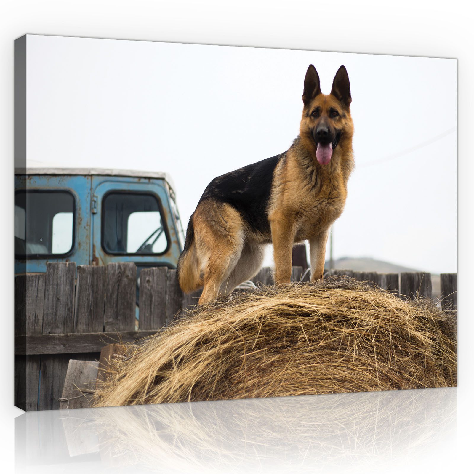 Leinwandbild Hund Tiere Auto Modern Wandbilder Wand Deko XXL Bilder