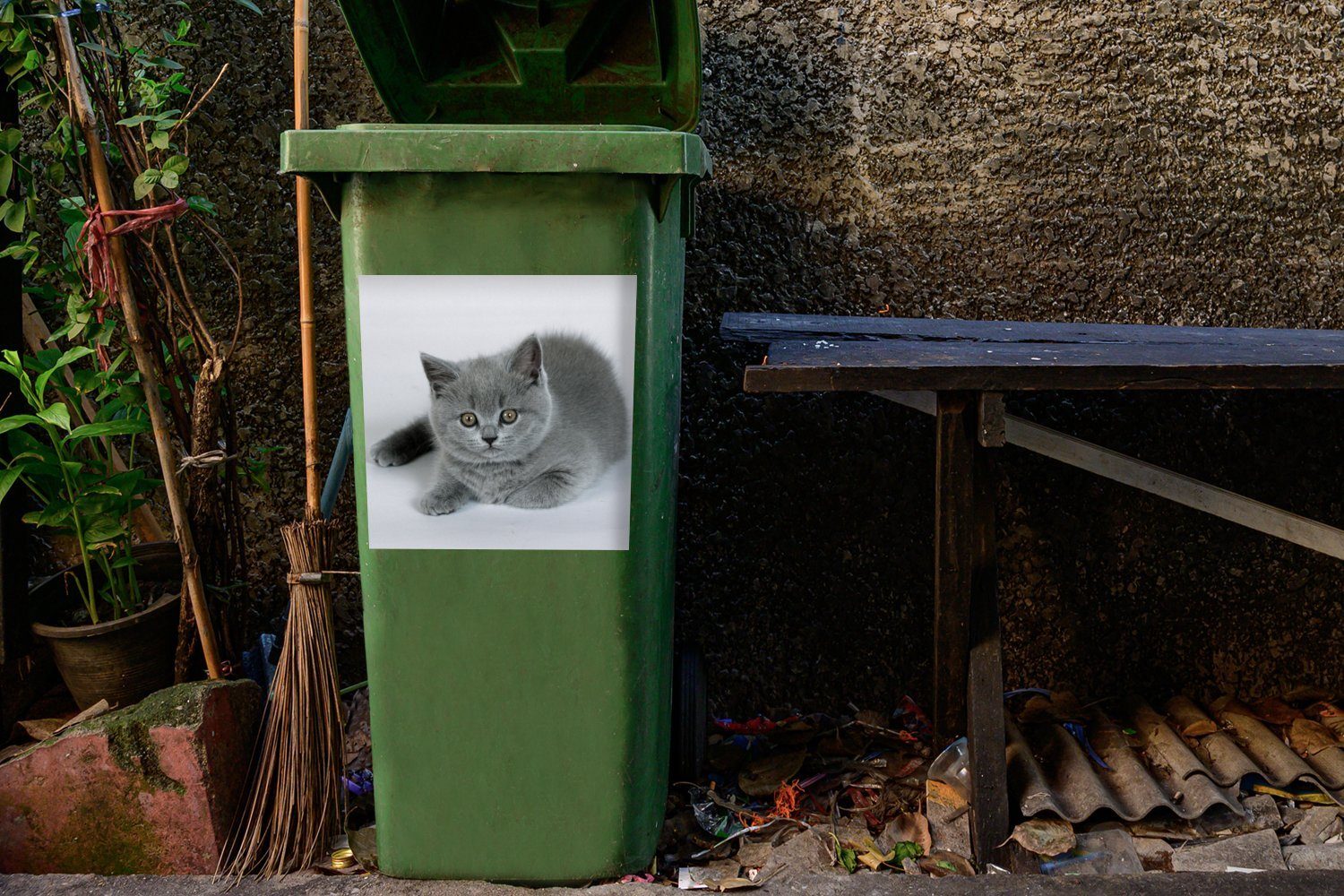 Anzeige Mülleimer-aufkleber, Abfalbehälter (1 Mülltonne, Britisch-Kurzhaar-Kätzchens wunderschönen Container, Sticker, St), Wandsticker eines MuchoWow