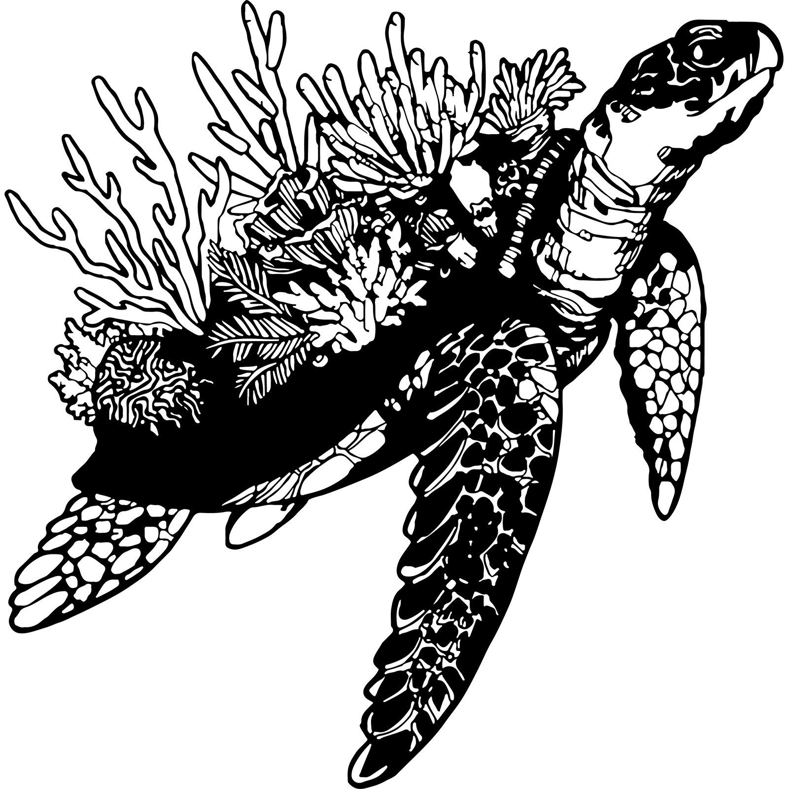 Jumpeak Wanddekoobjekt Die Seele des Meeres: Meeresschildkröten und Korallen, Schildkröte und Koralle,Ozeane