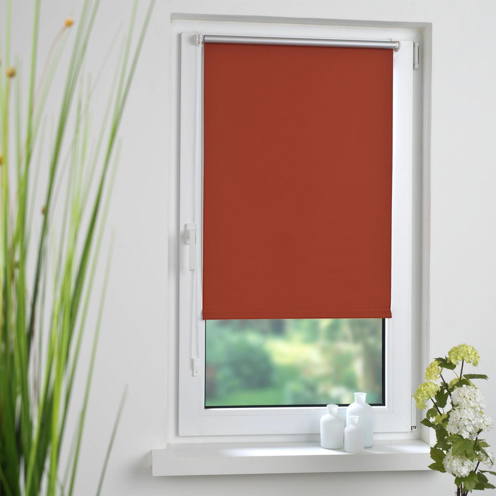 Seitenzugrollo, Liedeco, verdunkelnd, ohne Bohren, Klemmfix günstig online kaufen