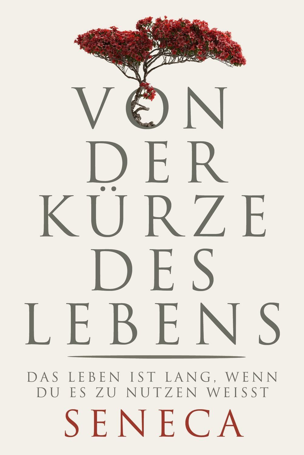 Sachbuch Von der Kürze des Lebens Das Leben ist lang, wenn du es zu nutzen weiß Lucius Annaeus Seneca