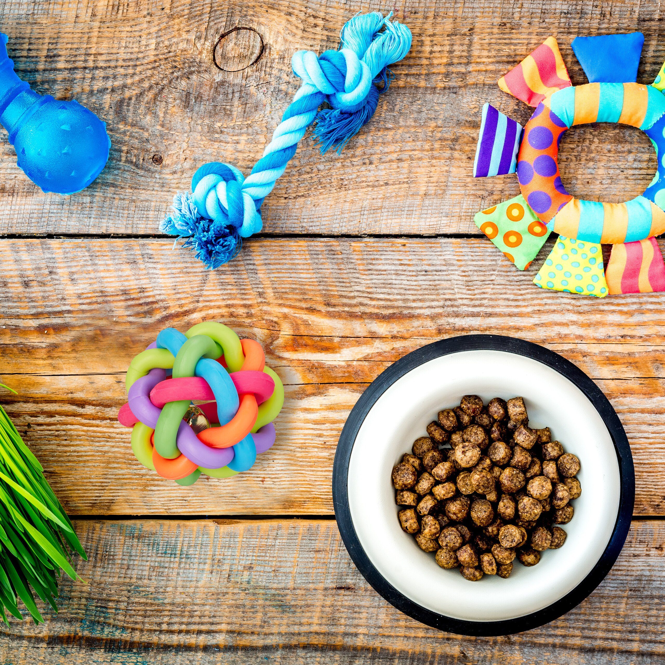 relaxdays Rasselball Hundespielzeug Ball mit Glocke günstig online kaufen